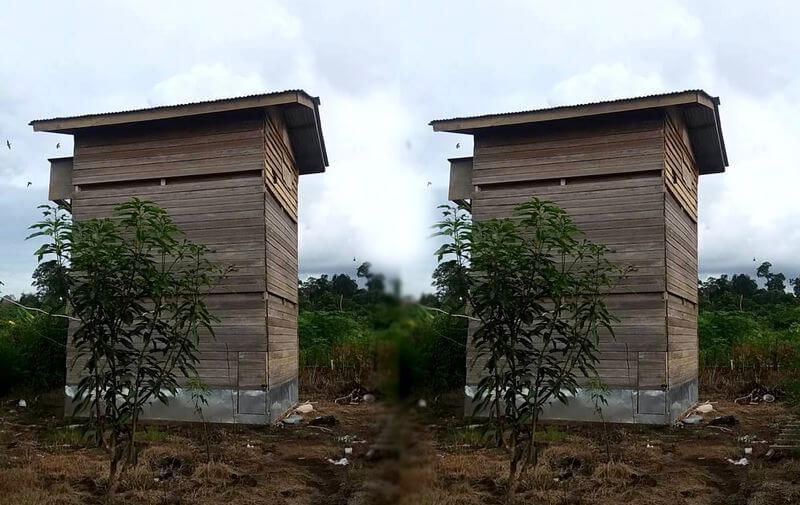 Rumah Walet Dari Kayu: Kelebihan Dan Kekurangan